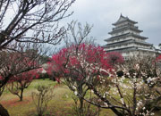 【日本100選】百名城 島原城