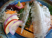 呼子イカ 活きづくり