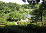 東京散歩 六義園