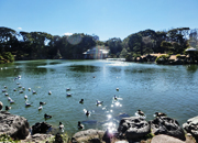 東京散歩 清澄庭園