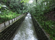 東京散歩 等々力渓谷