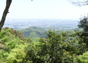 東京散歩 高尾山