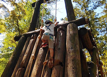 ありのみコース