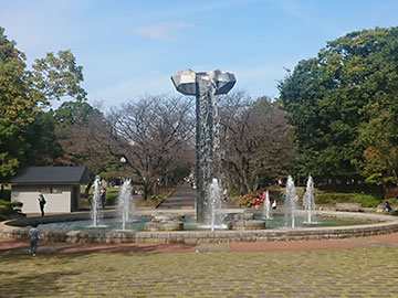 府中の森公園