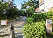 せたがや百選 太子堂下ノ谷界わい