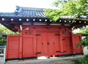 せたがや百選 代沢阿川家の門