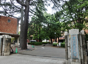 せたがや百選 東京農業大学