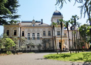 東京散歩 旧岩崎邸庭園洋館