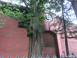 ニッカウィスキー仙台工場