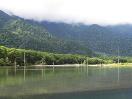 上高地 大正池
