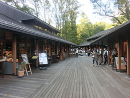 ハルニレテラス