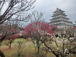 長崎旅行 島原城