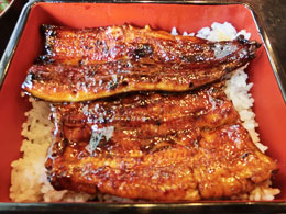 静岡旅行 辰金本店