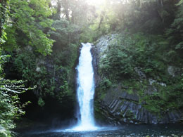静岡旅行 浄蓮の滝