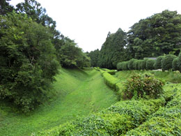 静岡旅行 山中城
