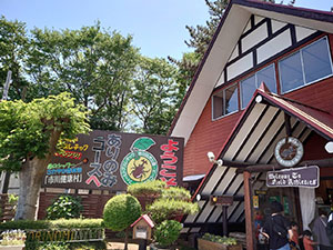 ありのみコース