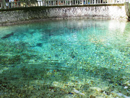 山口旅行 別府弁天池湧水